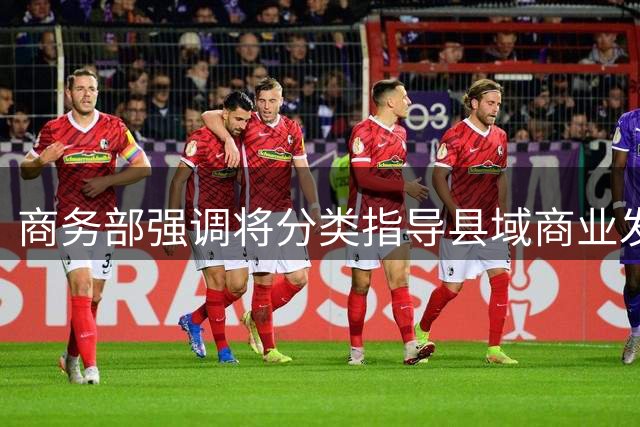 商务部强调将分类指导县域商业发展 避免同质化和资源浪费