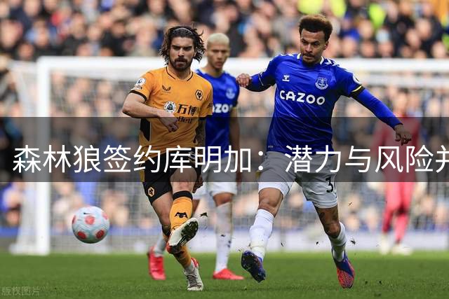 森林狼签约库明加：潜力与风险并存的补强